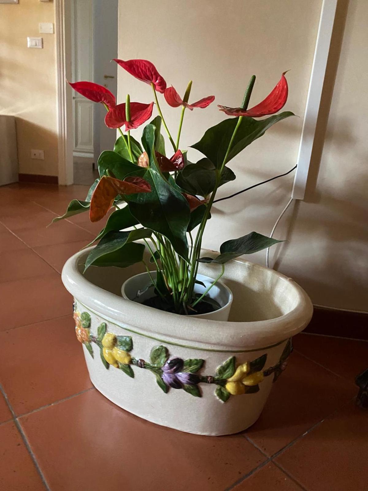Appartamento Magnolia Mercatale Val Di Pesa Екстер'єр фото